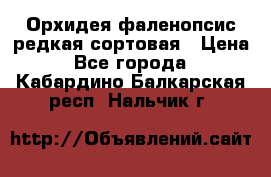 Орхидея фаленопсис редкая сортовая › Цена ­ 800 - Все города  »    . Кабардино-Балкарская респ.,Нальчик г.